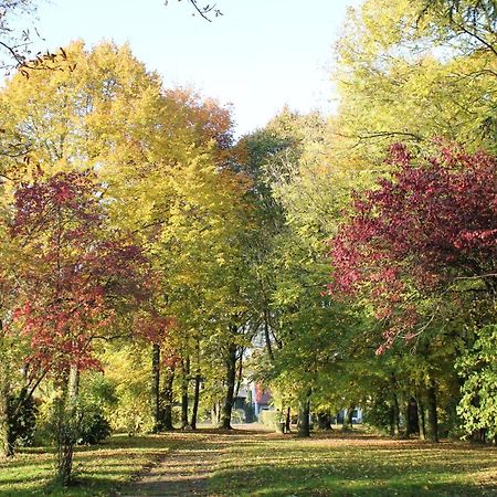 Hotel Pension Haus Stork Holzhausen  Zewnętrze zdjęcie